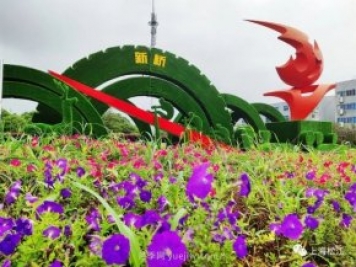 上海松江这里的花坛、花境“上新”啦!特色景观升级!