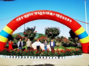 河南省四优四化项目 助推南阳月季、栀子产业发展
