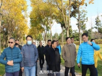 提升城市园林绿化，苏州向上海学什么？